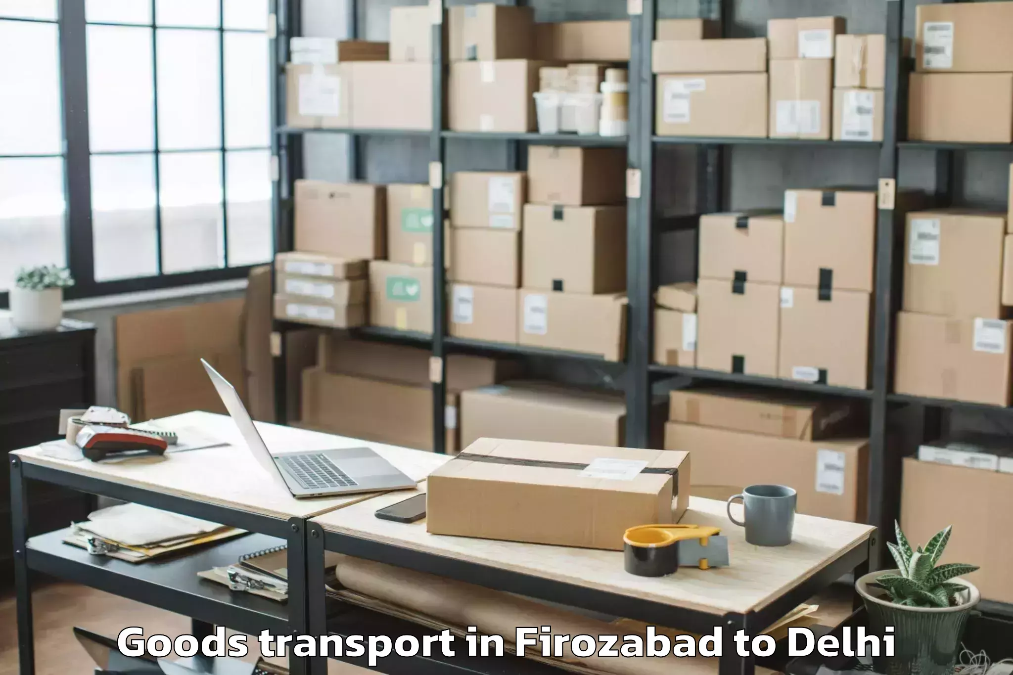 Hassle-Free Firozabad to Vasant Vihar Goods Transport